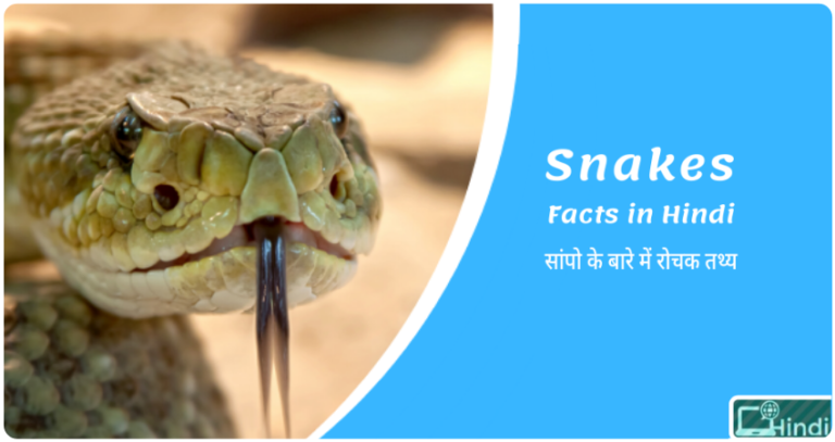 interesting-facts-about-snakes-in-hindi