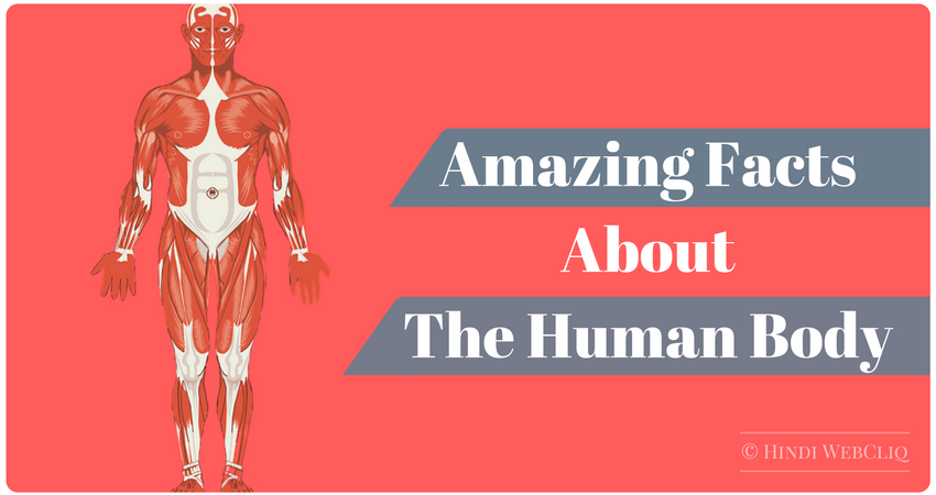 amazing facts about human body in hindi