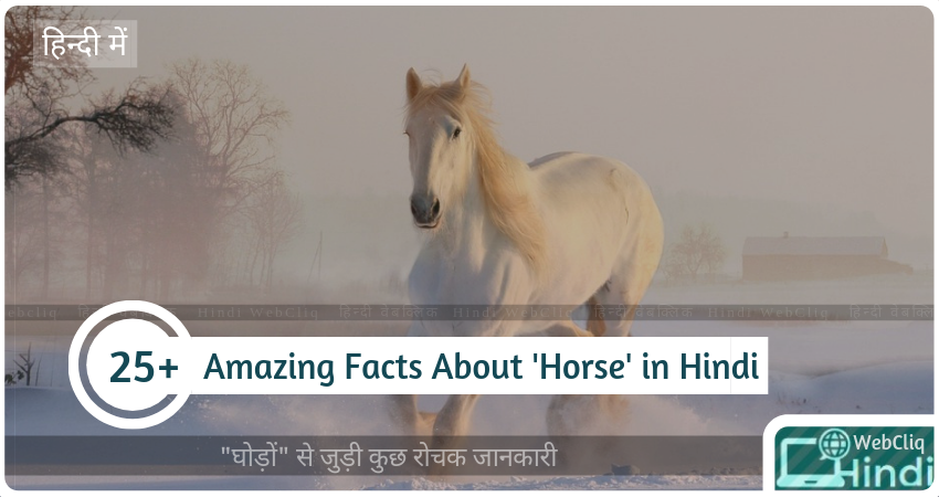 fascinating facts horse in hindi